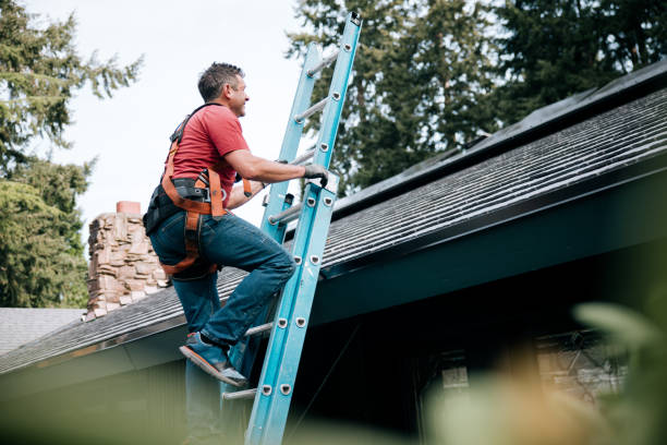 Best Solar Panel Roofing Installation  in Darby, PA