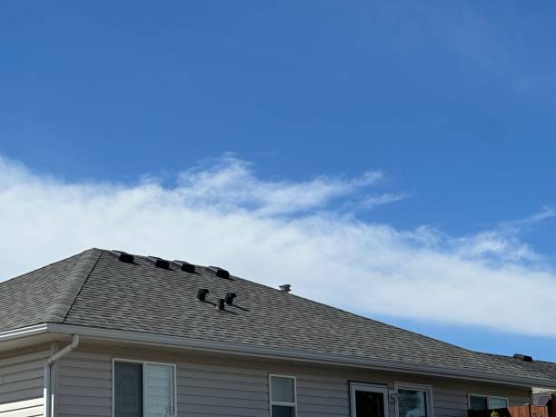 Best Roof Waterproofing  in Darby, PA