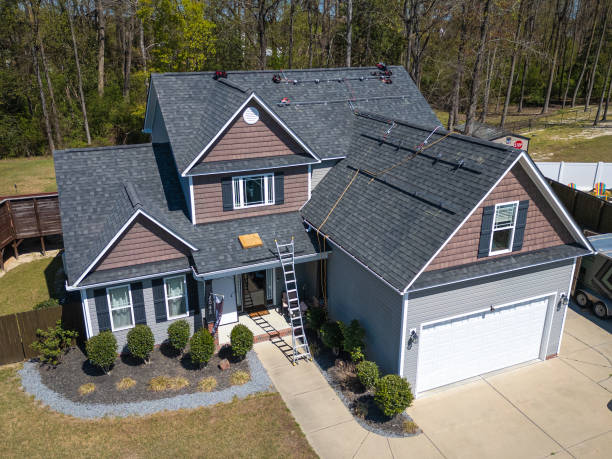 Best Roof Moss and Algae Removal  in Darby, PA